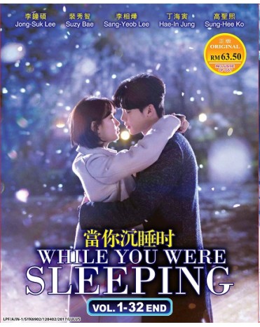 KOREAN DRAMA : WHILE YOU WERE SLEEPING VOL.1-32 END 